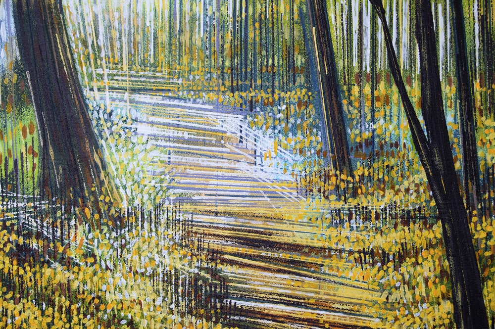 Light Through Autumn Trees