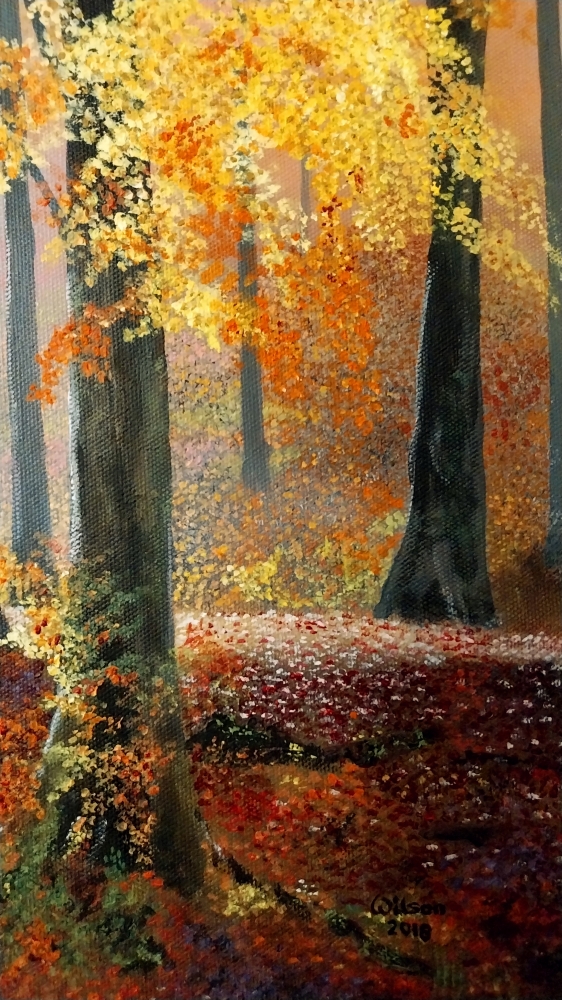 Autumn Colour 