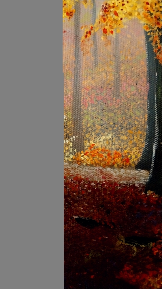 Autumn Colour 