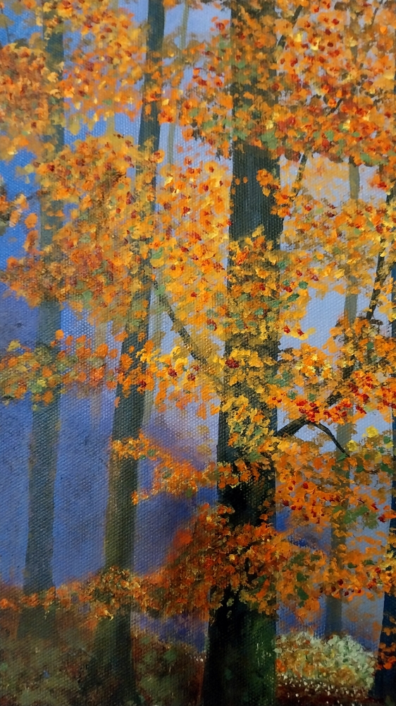Autumn Colour 
