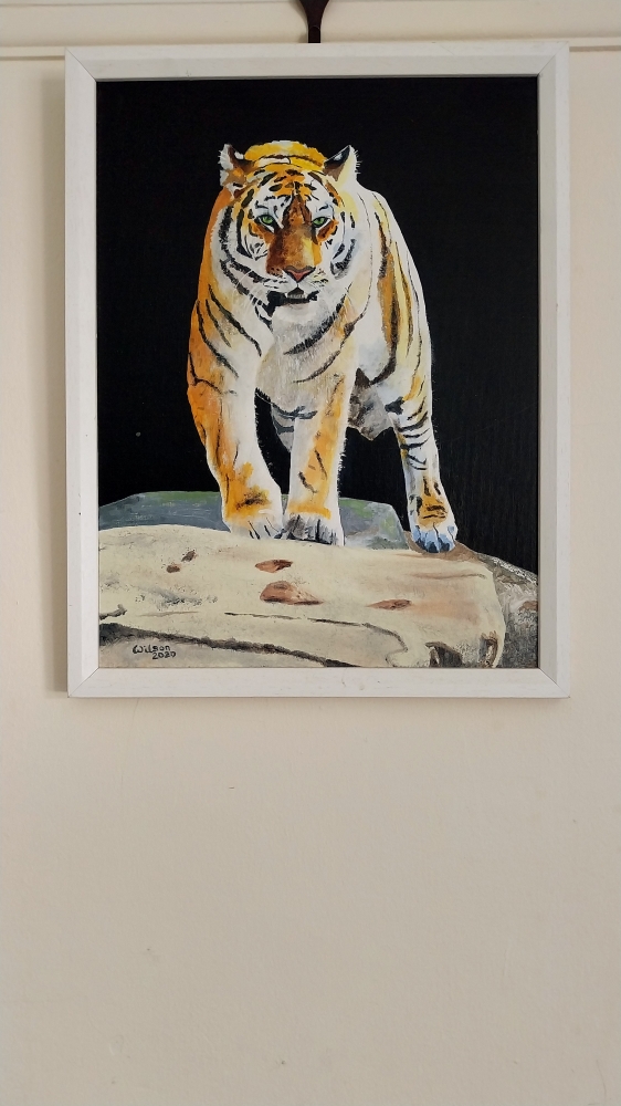 Tiger, tiger