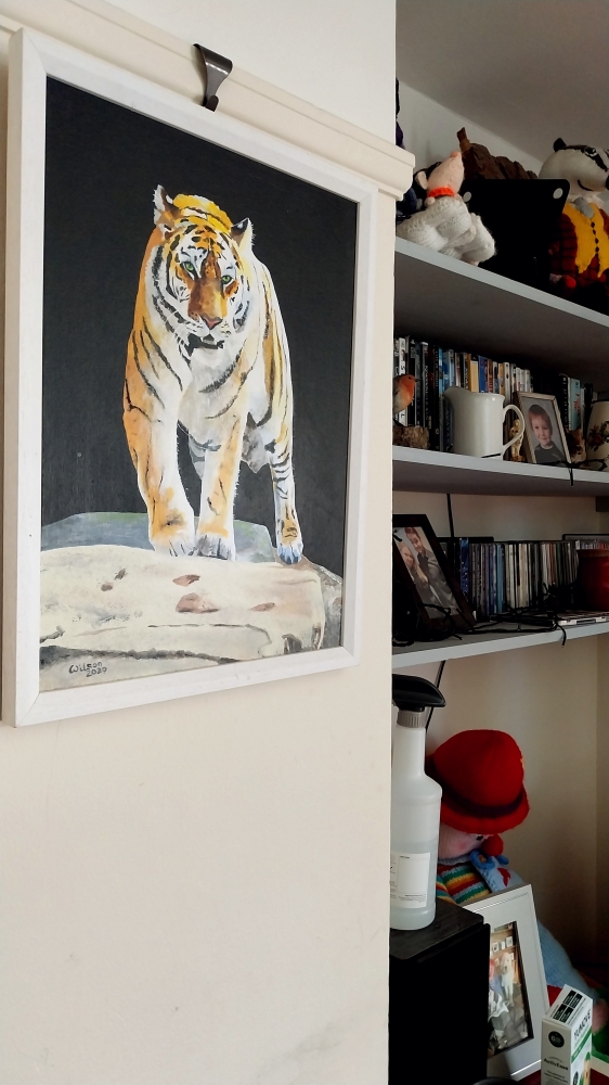 Tiger, tiger