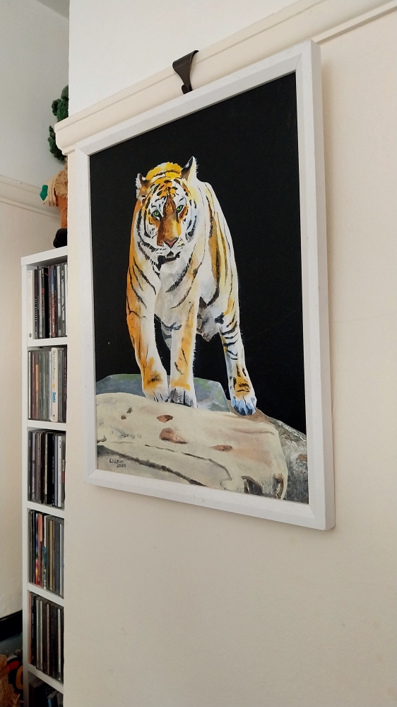 Tiger, tiger