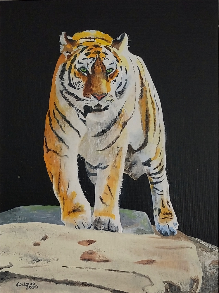 Tiger, tiger