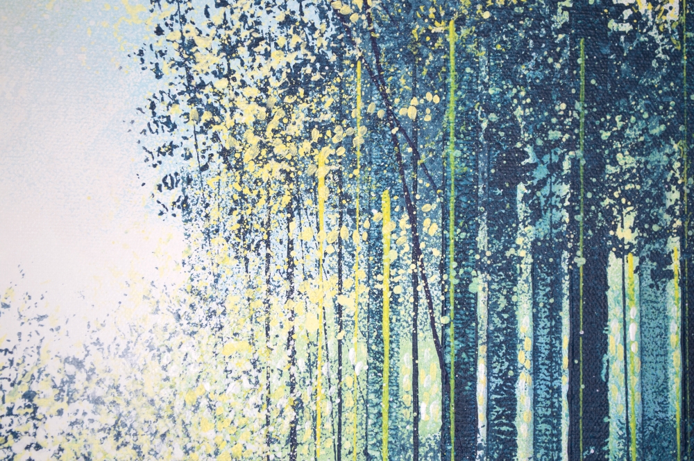 Summer Forest Path