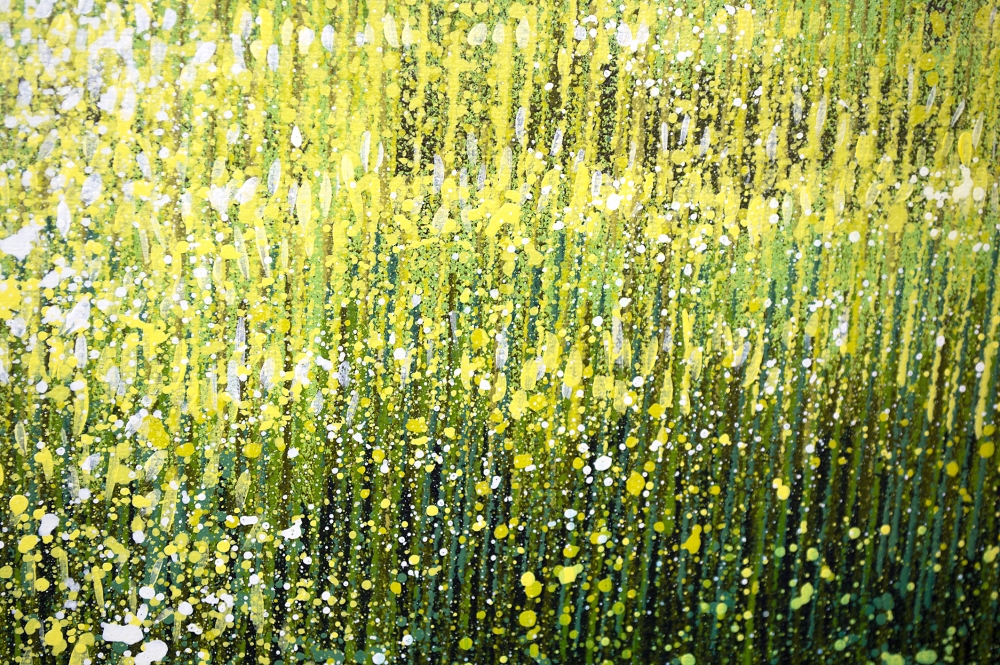 Forest Edge Summer Trees