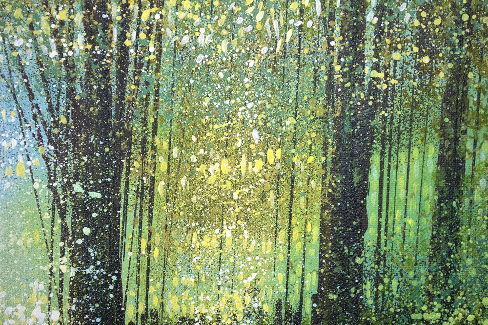 Forest Edge Summer Trees