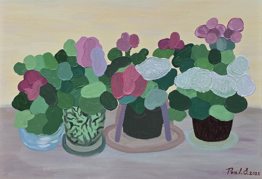 Zonal Geranium Flower Pots