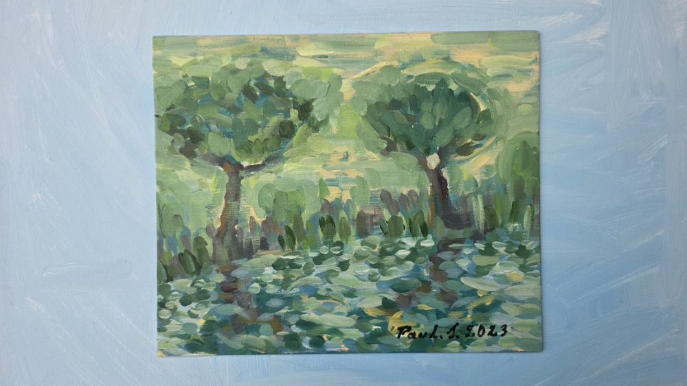 Trees and a Lake