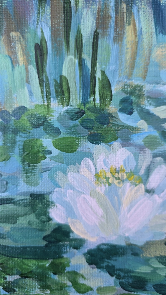 White Water Lily