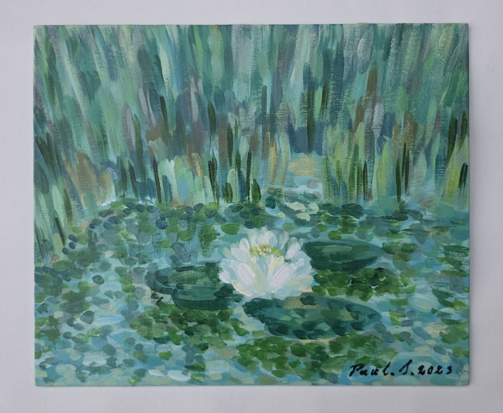 White Water Lily