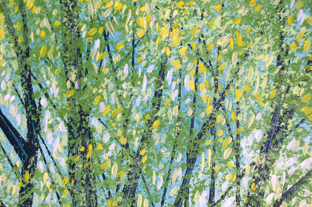Light Through Summer Trees