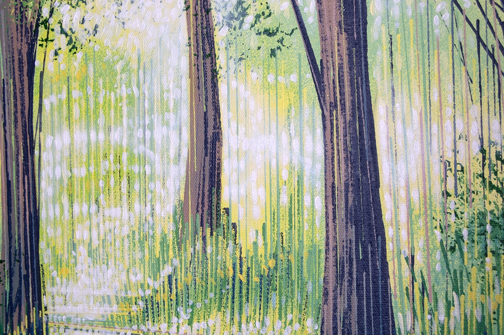 Summer Forest Path