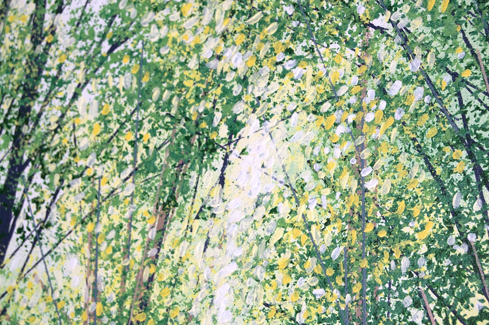 Summer Forest Path