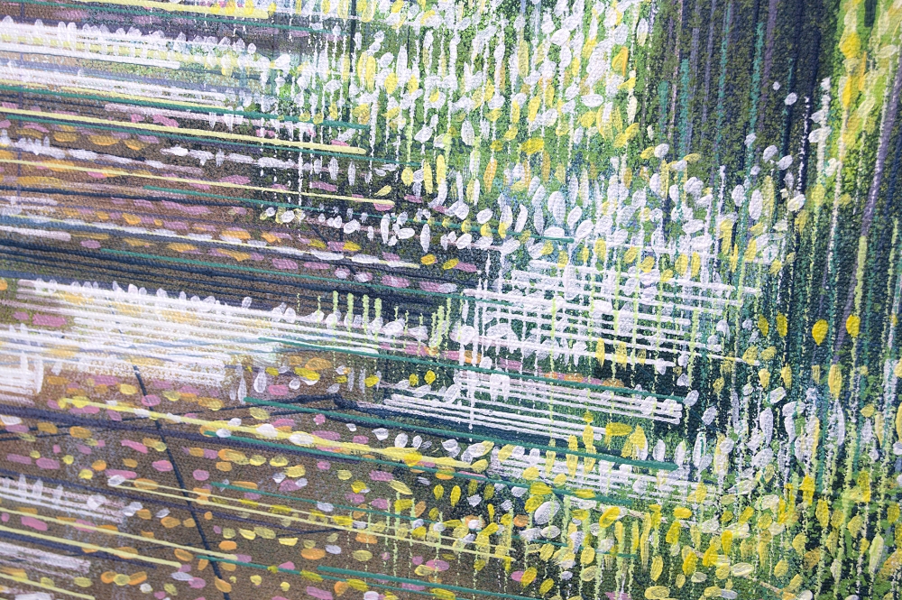 Forest Path In Bright Sunlight