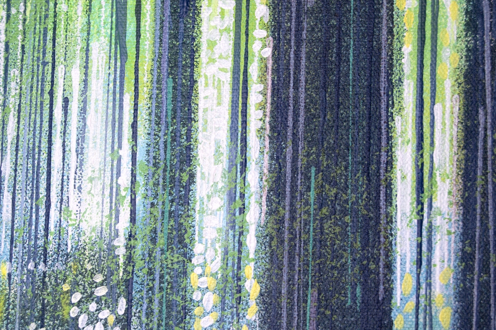 Forest Path In Bright Sunlight
