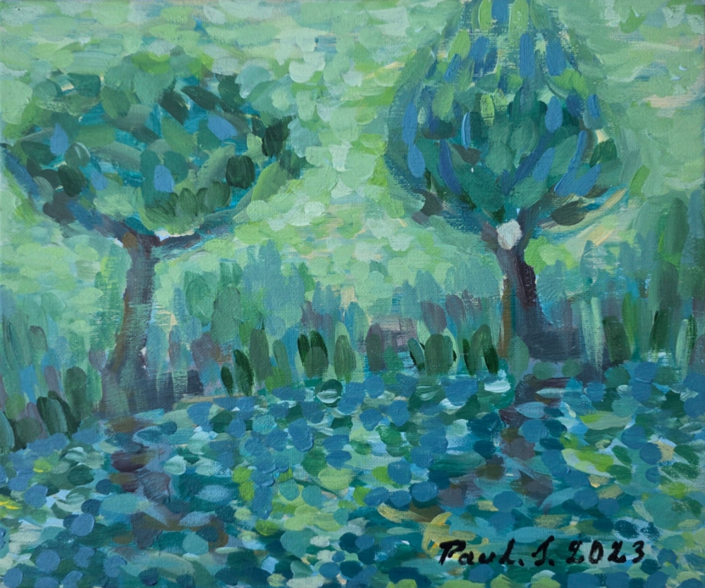 Trees and a lake