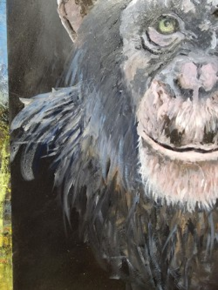 Chimp