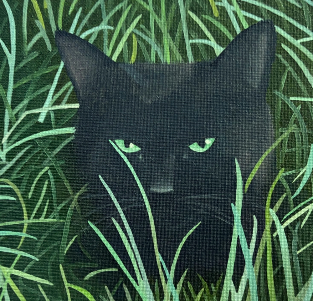 Cat In The Grass