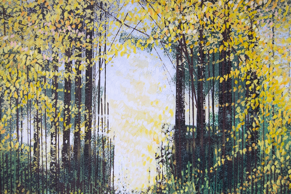 Sunlight Through Autumn Trees