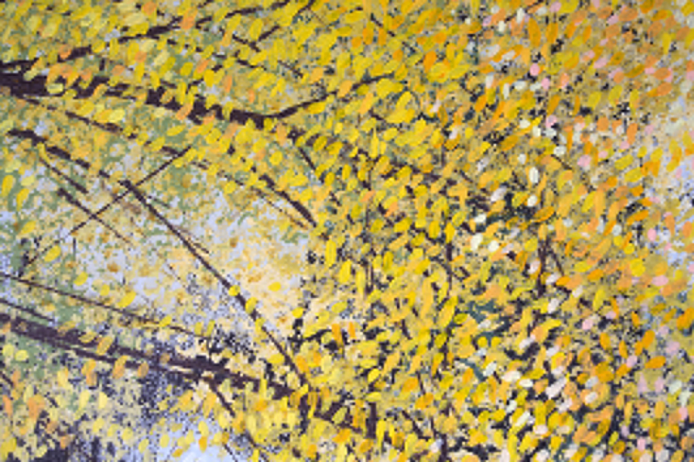 Sunlight Through Autumn Trees