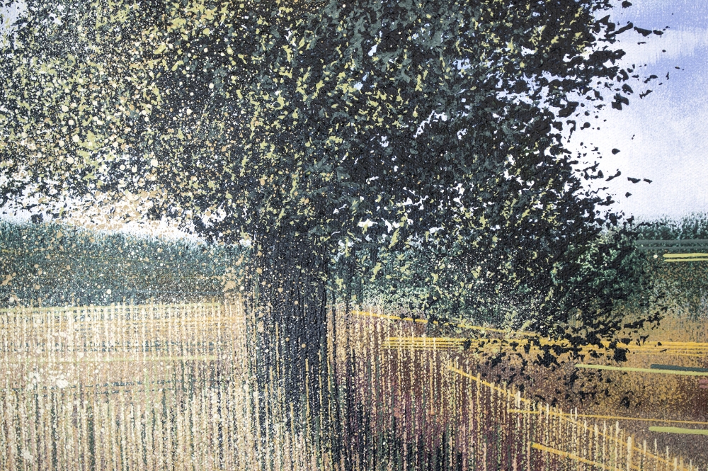 Meadow In Late Summer