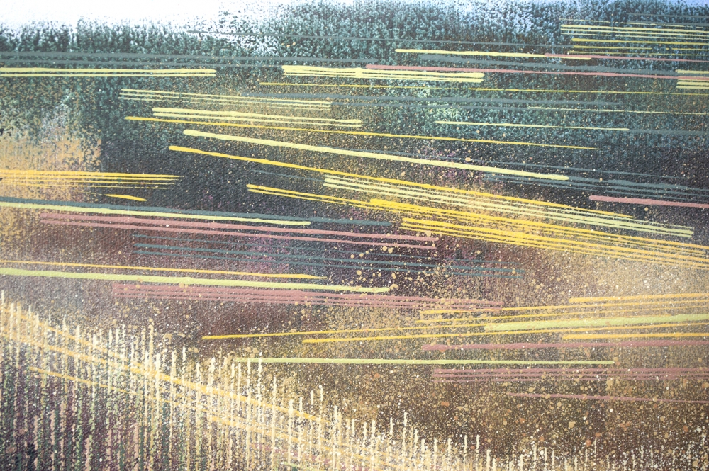 Meadow In Late Summer