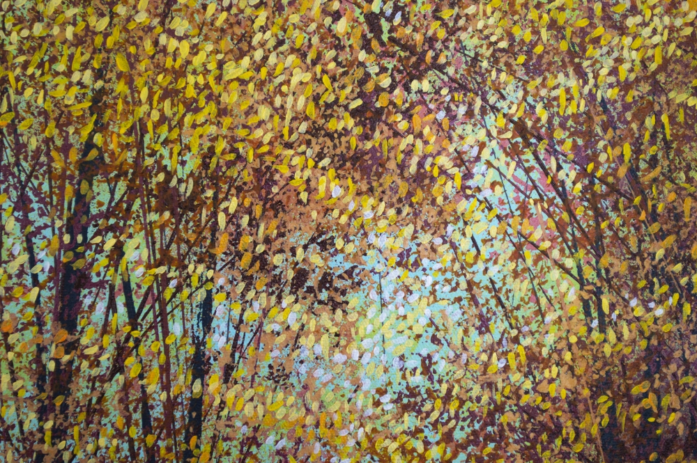 Autumn Forest Trees #6