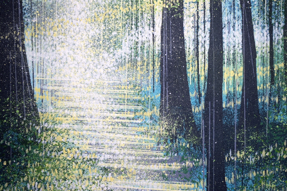 Light Through Summer Trees