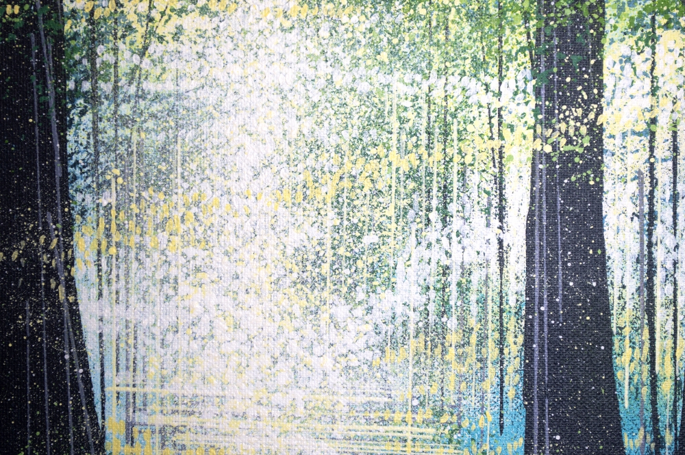Light Through Summer Trees