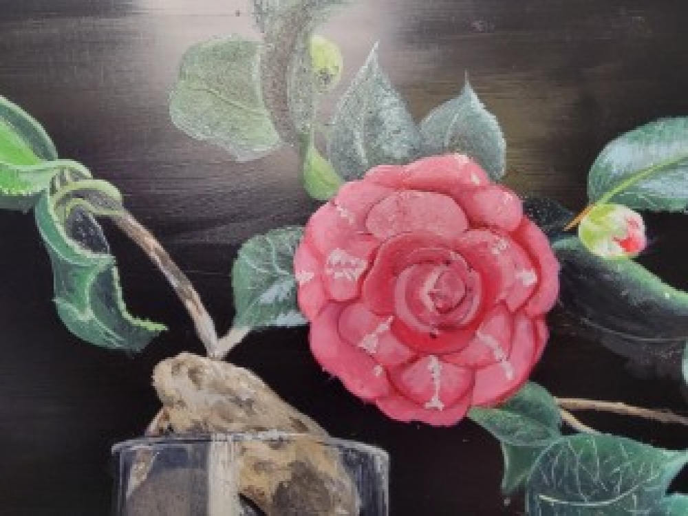 Flower in vase