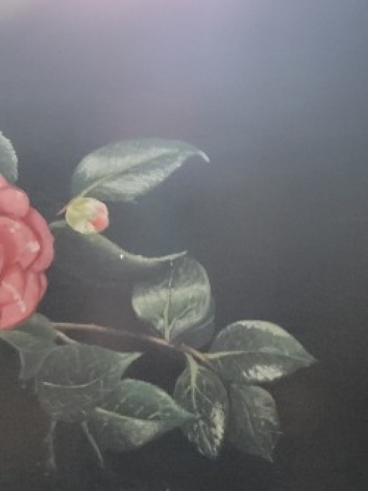 Flower in vase