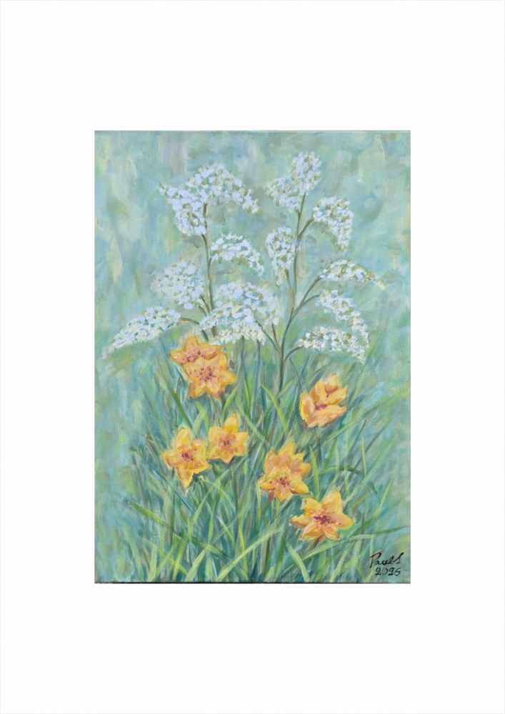 Flowers White and Yellow