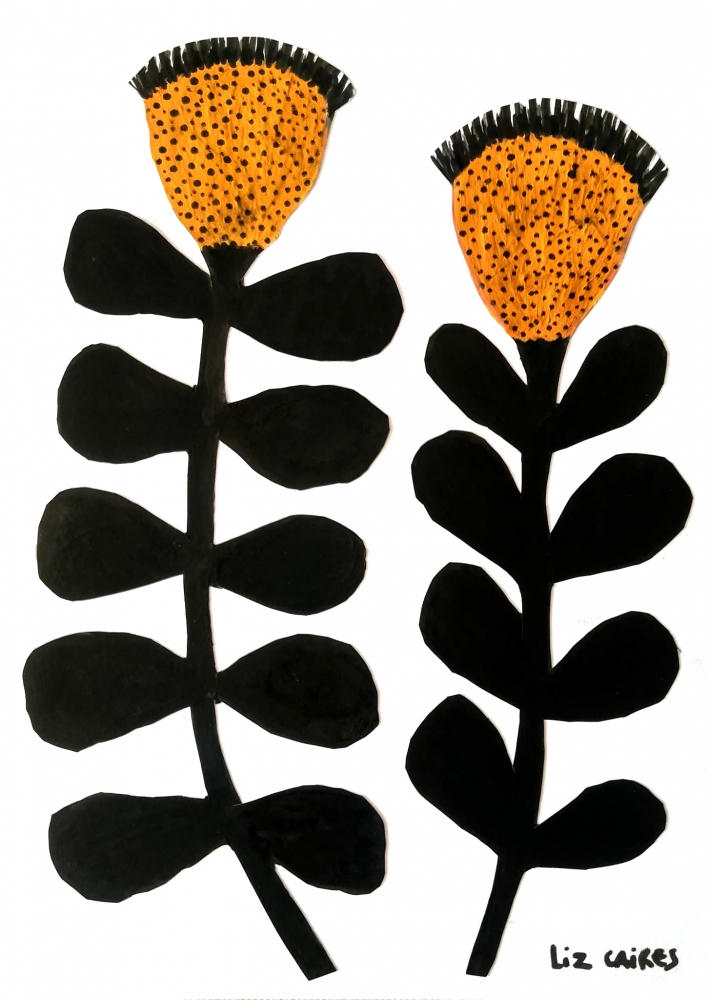 Dandelions 