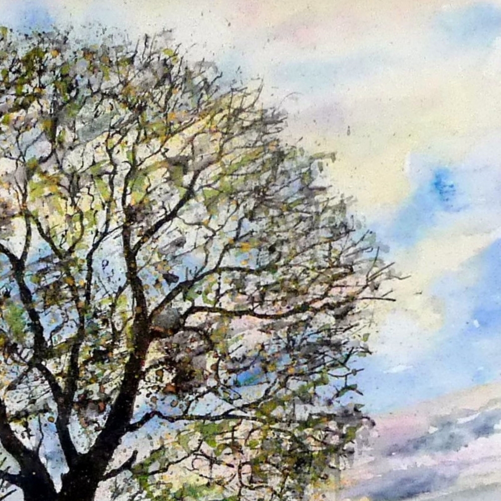 Awakening , Fen Oak