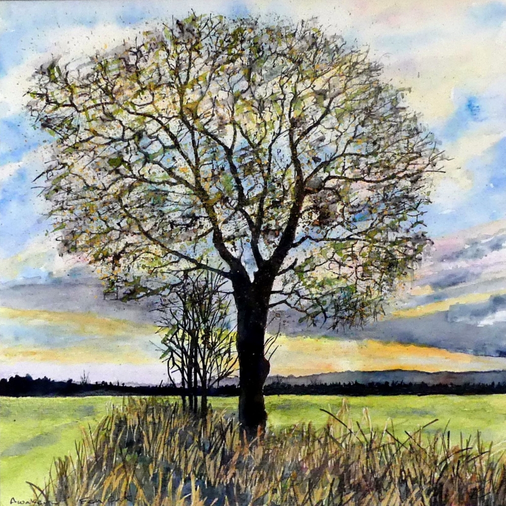 Awakening , Fen Oak