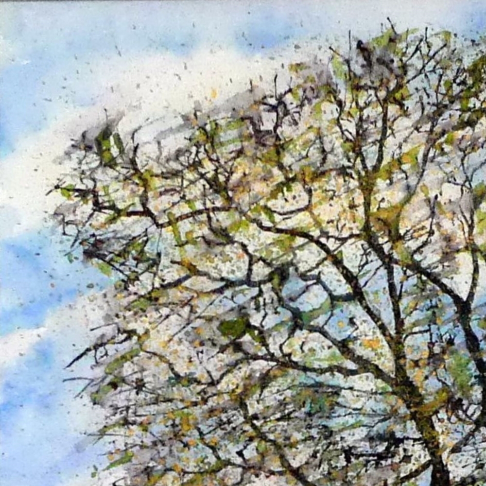 Awakening , Fen Oak