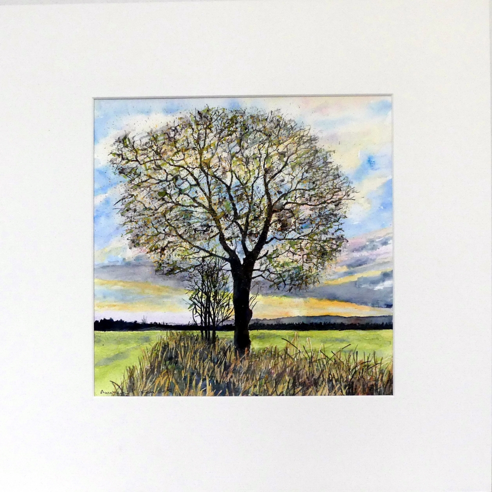 Awakening , Fen Oak