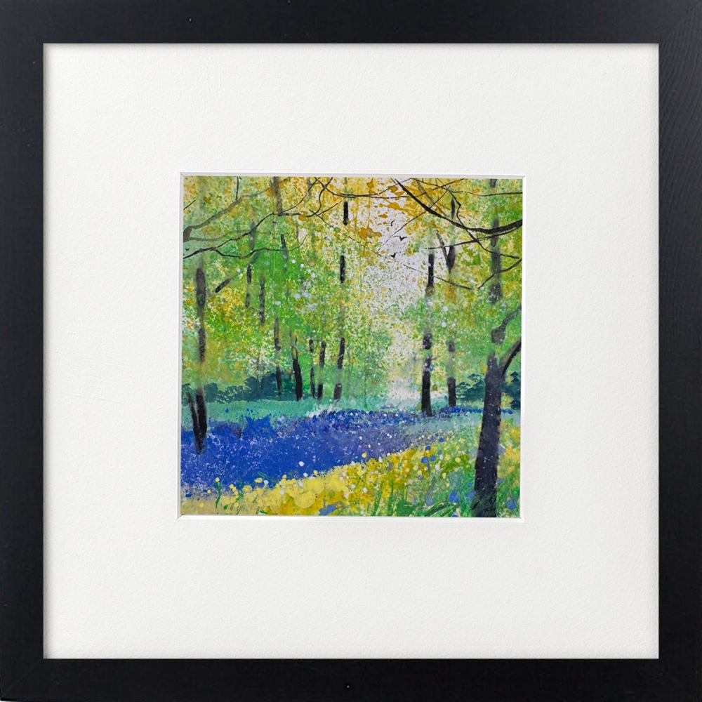 Bluebell Woodland