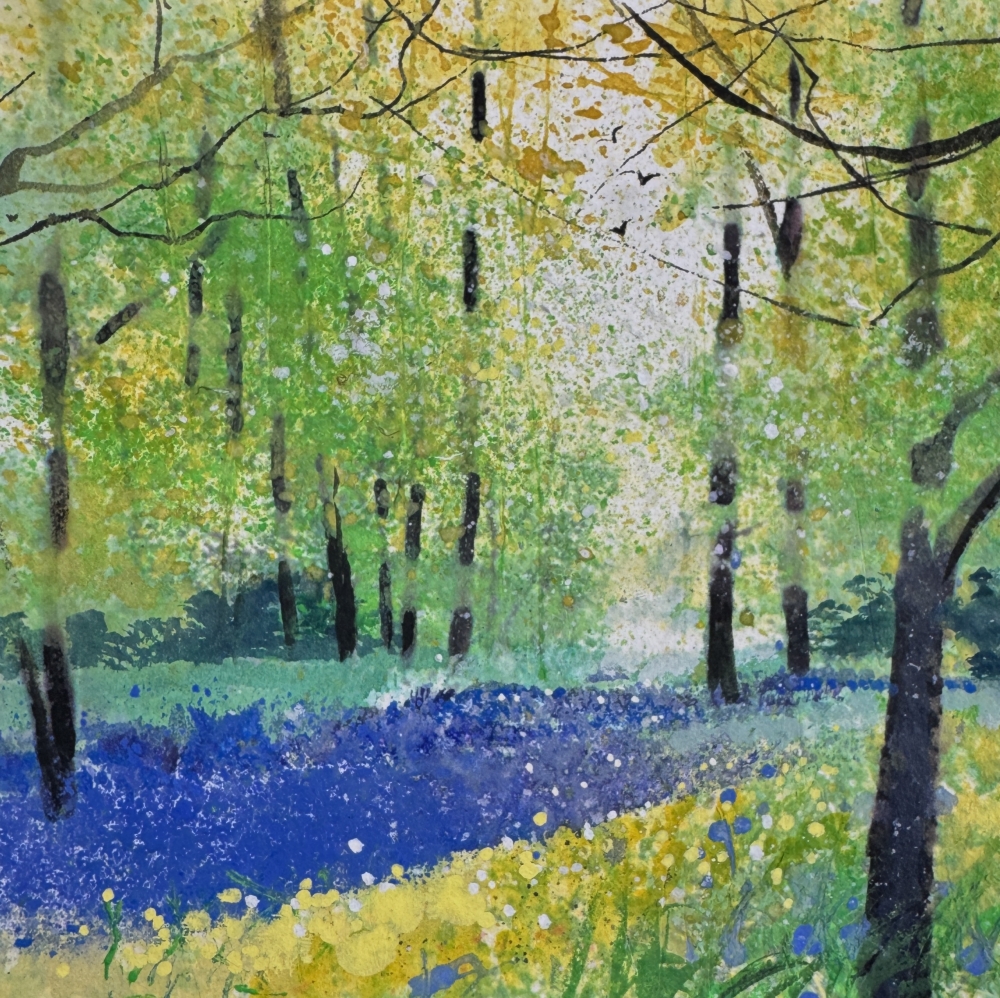 Bluebell Woodland
