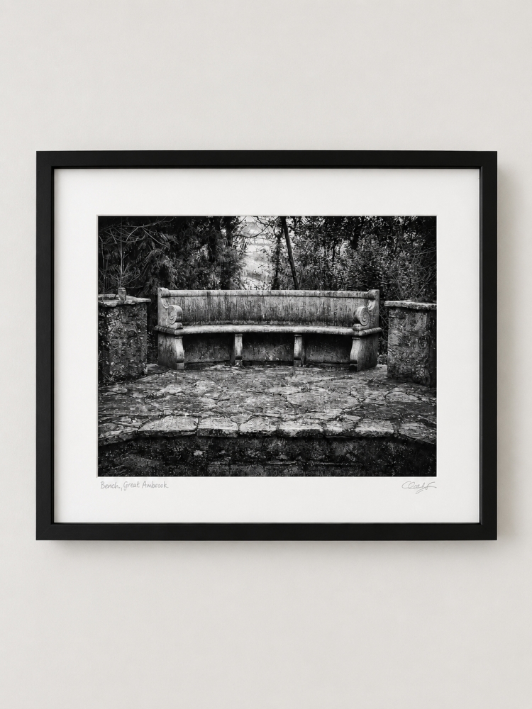 Echoes of the Past: The Great Ambrook Collection - The Bench