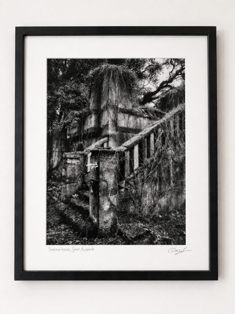Echoes of the Past: The Great Ambrook Collection - The Derelict Summerhouse