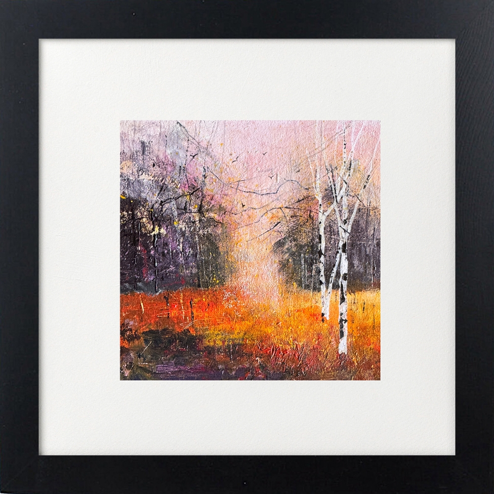 Colours of Autumn, Silver Birch trees