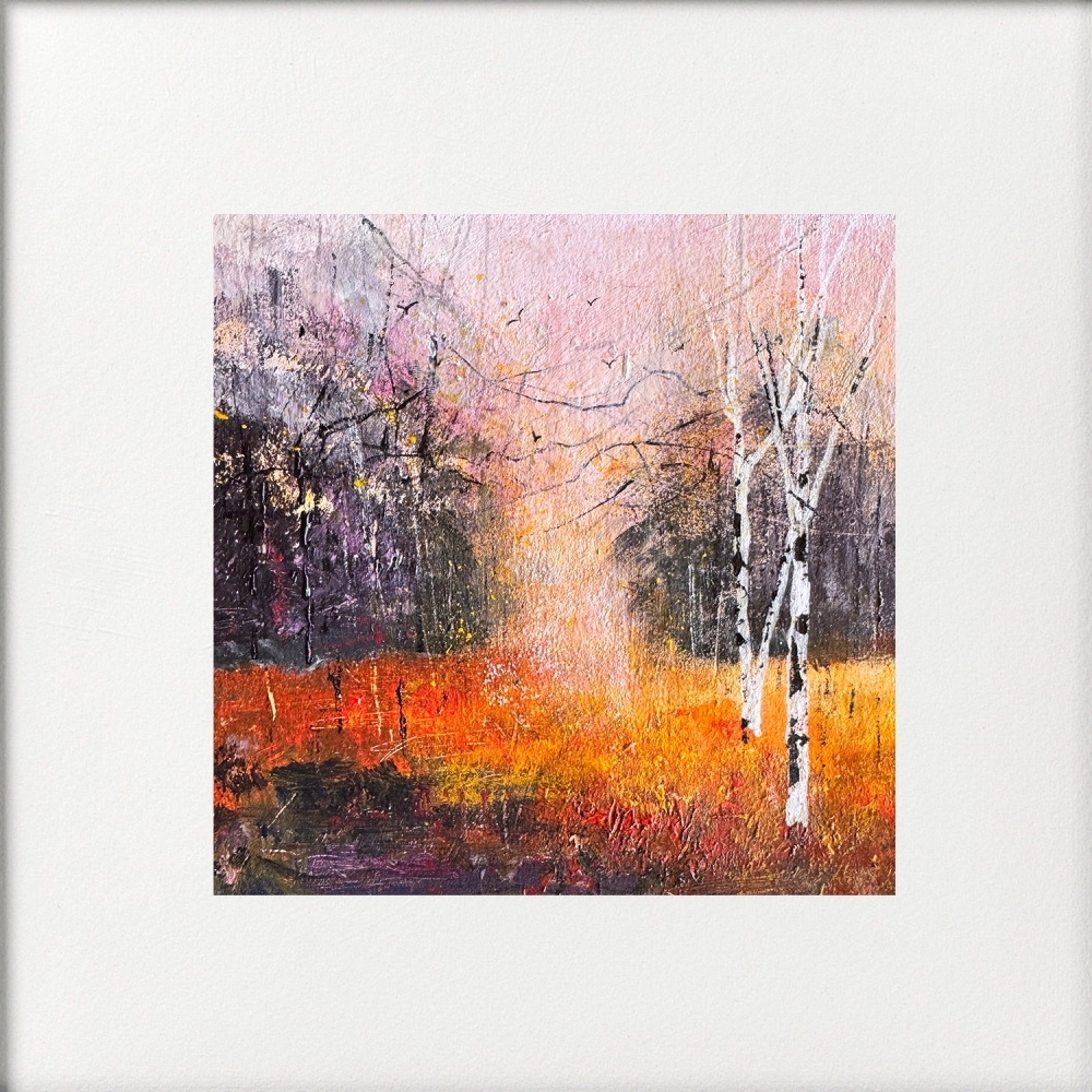 Colours of Autumn, Silver Birch trees