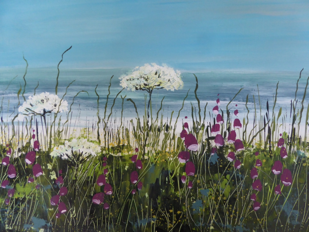 Cornish Coast Meadow