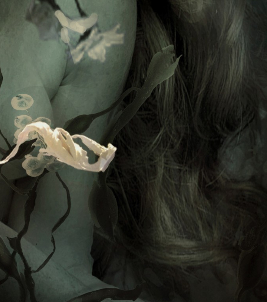 A Sleep