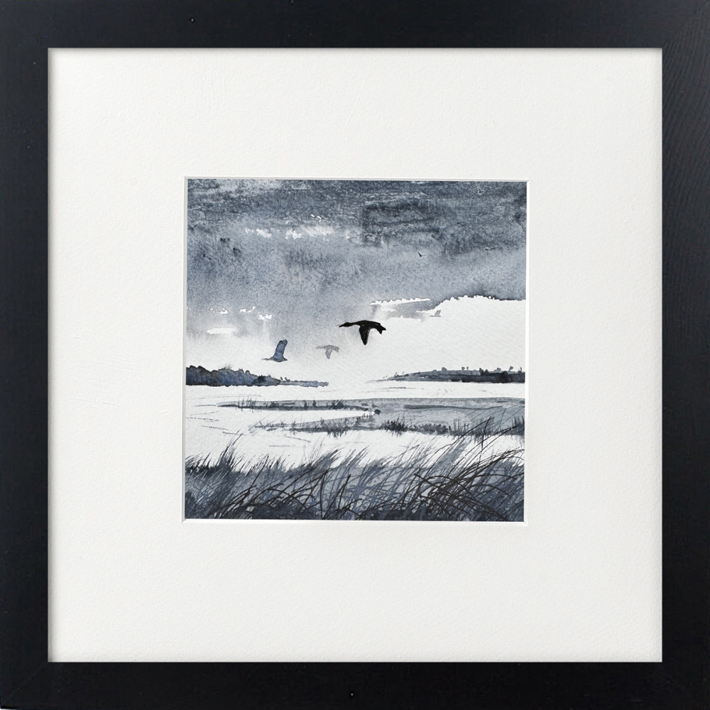 Monochrome ducks rainclouds, marshlands framed