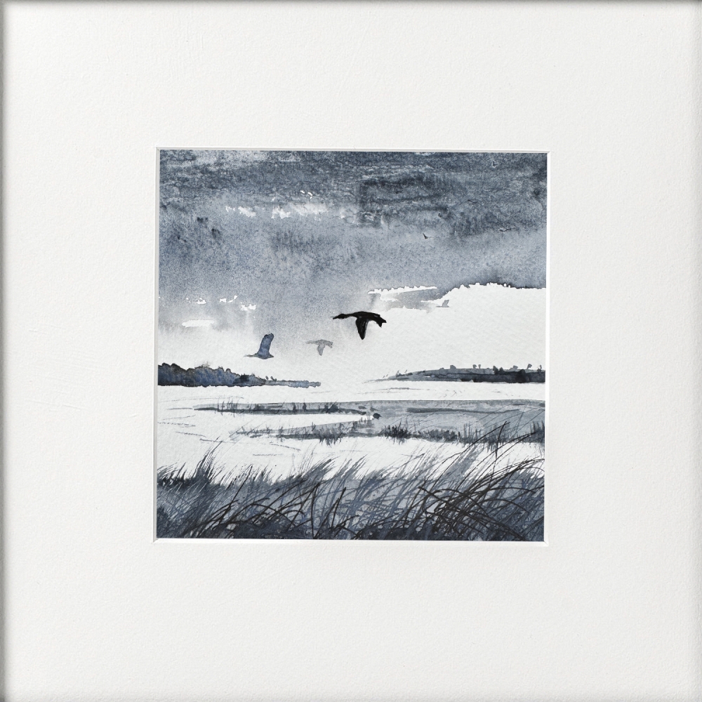 Monochrome ducks rainclouds, marshlands framed