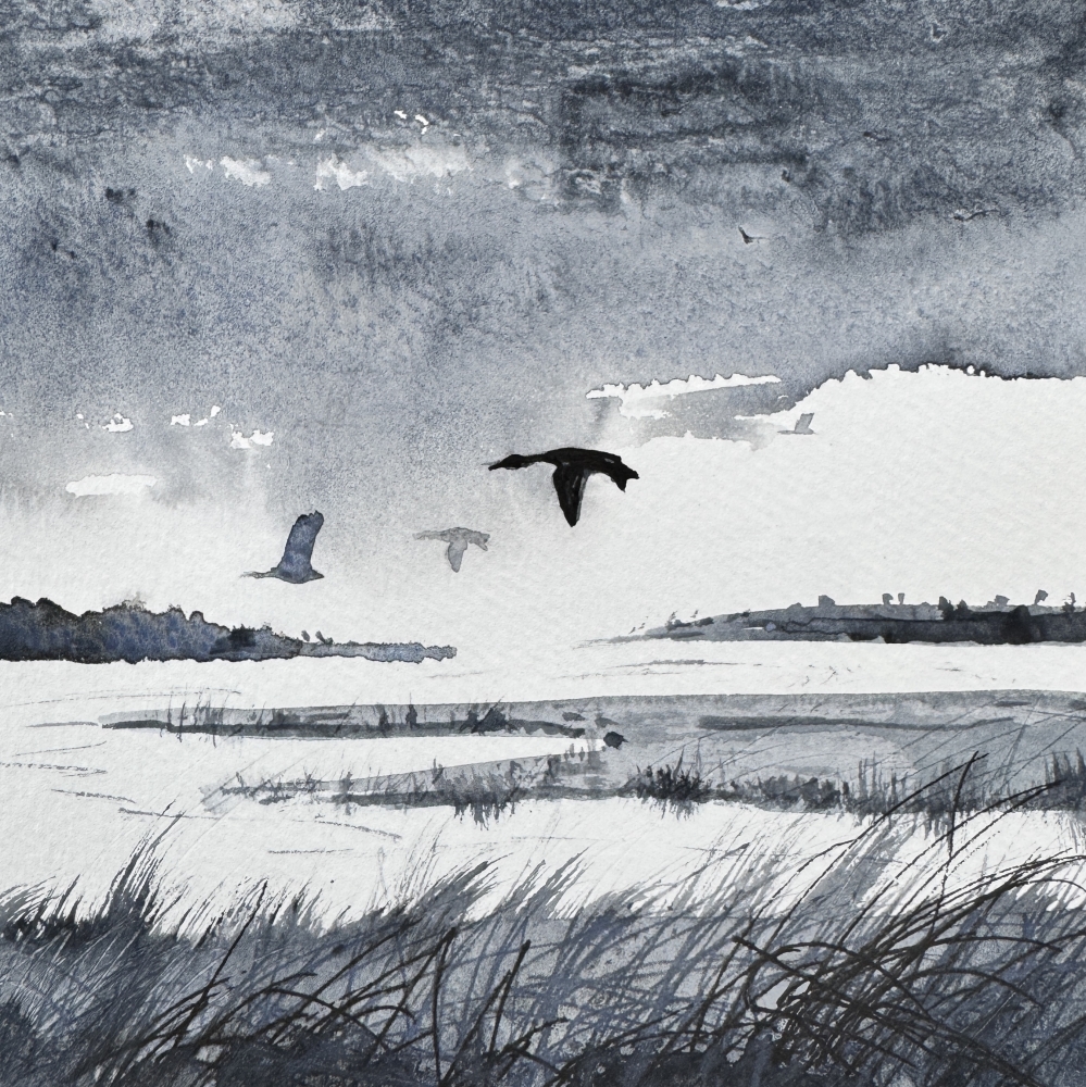 Monochrome ducks rainclouds, marshlands framed