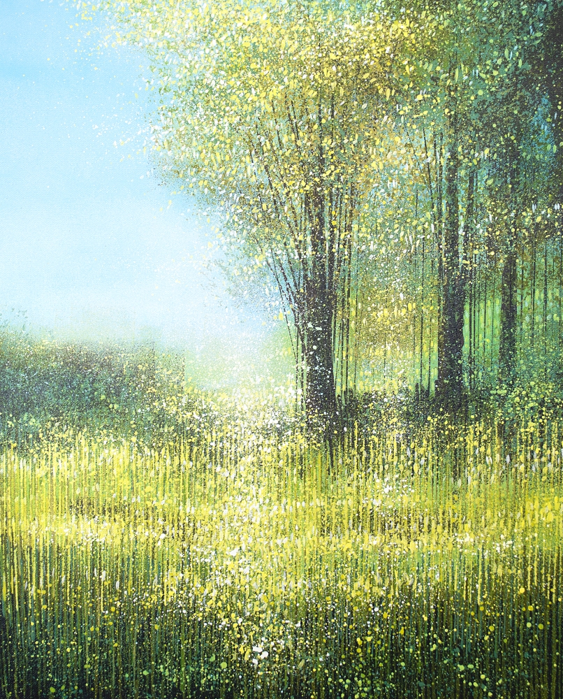 Forest Edge Summer Trees